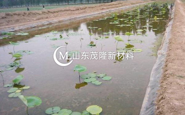 養(yǎng)殖用防滲膜產(chǎn)品演示圖1