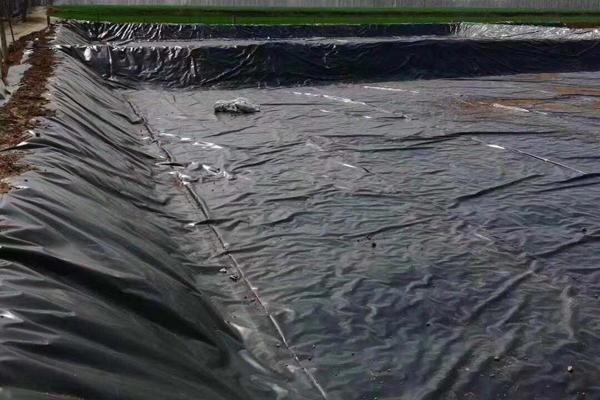 土工膜在護(hù)坡工程中的應(yīng)用  第3張